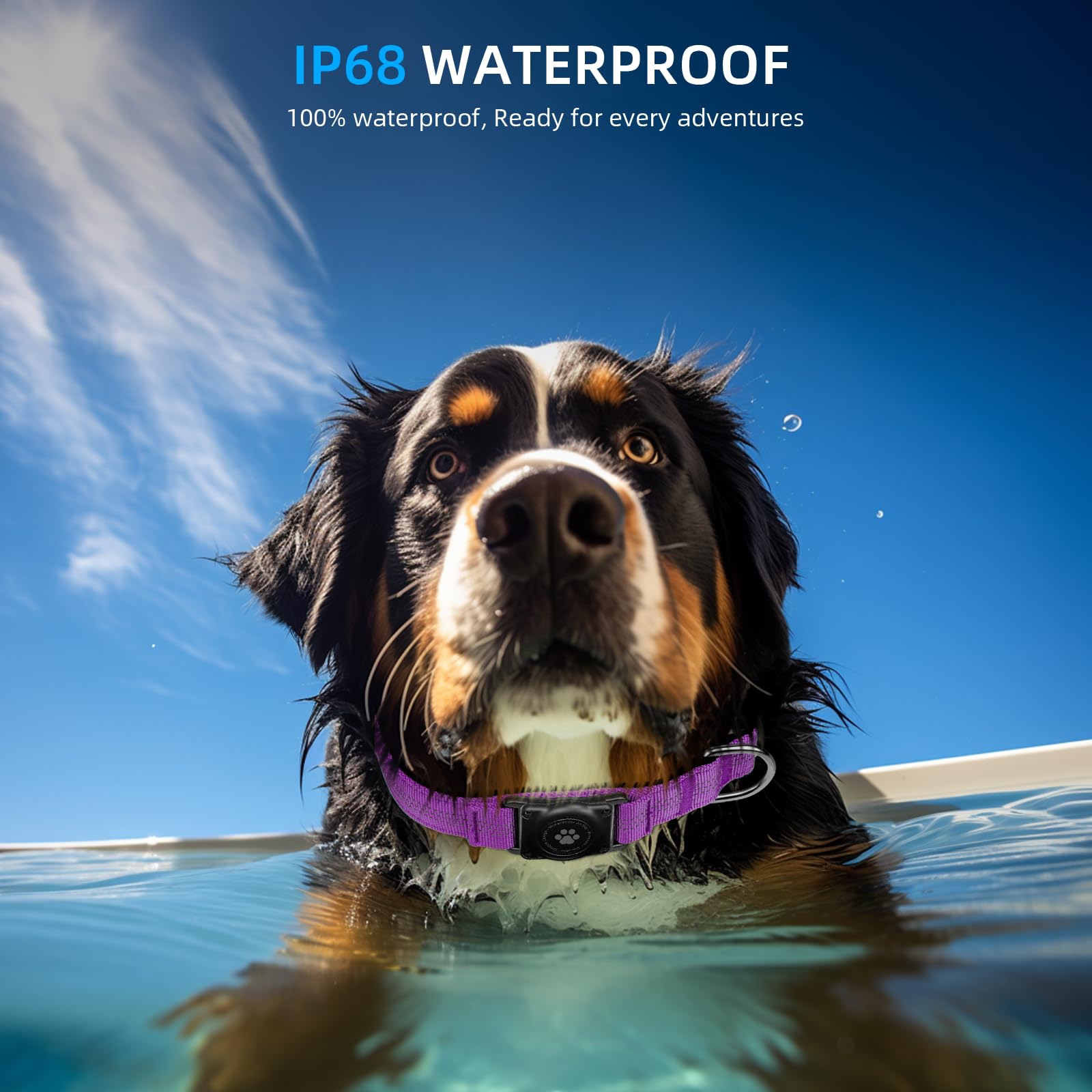 Furrigo AirTag dog collar waterproof design keeps AirTag protected in wet adventures.