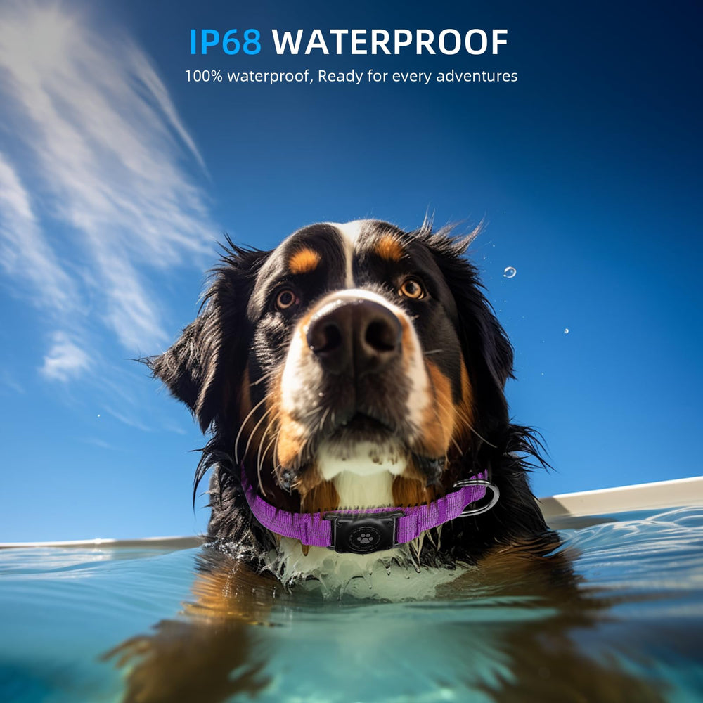 Furrigo AirTag dog collar waterproof design keeps AirTag protected in wet adventures.