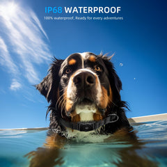 IP68 waterproof AirTag dog collar test demonstrates durability
