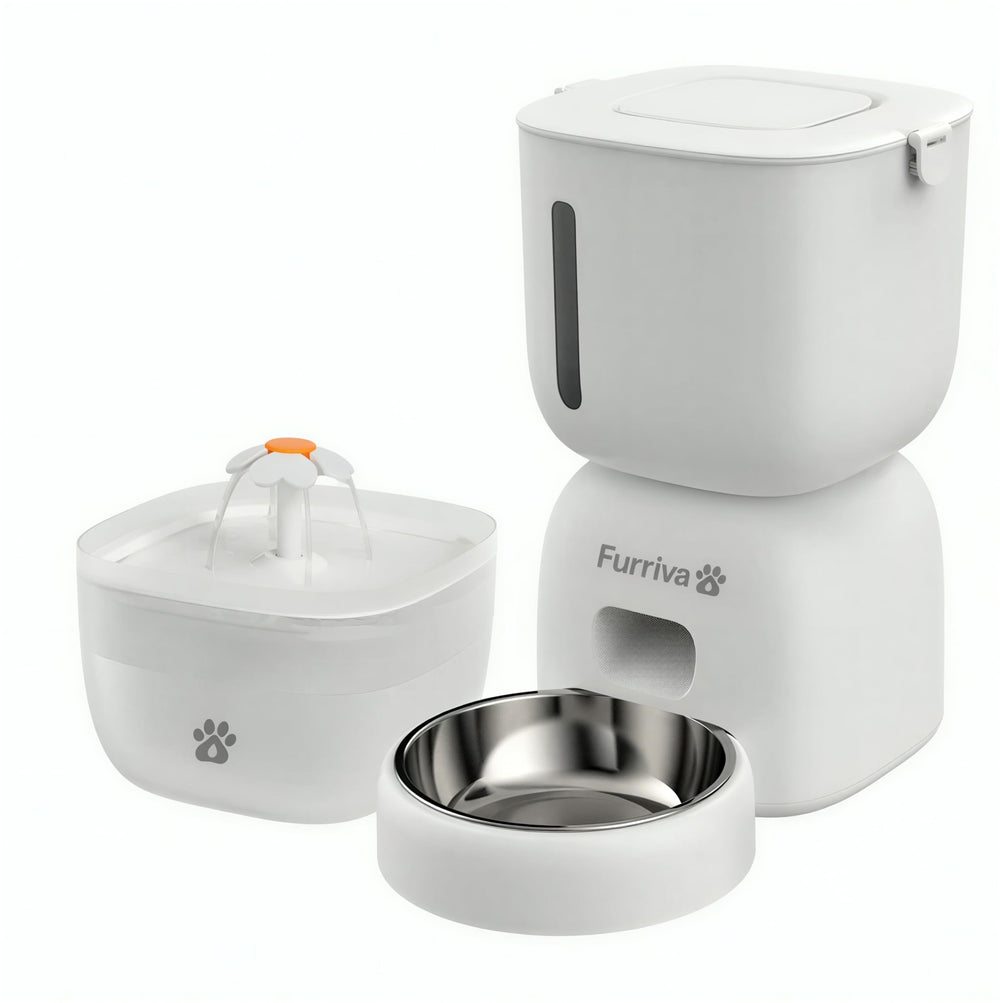 Furriva BPA-free stainless steel bowl supports safe hydration and easy cleaning.