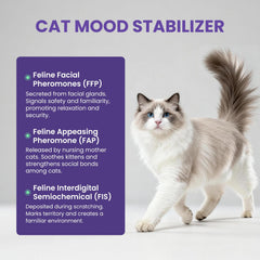 FURRY ARMOR living room setup promoting calm in busy multi-cat homes.