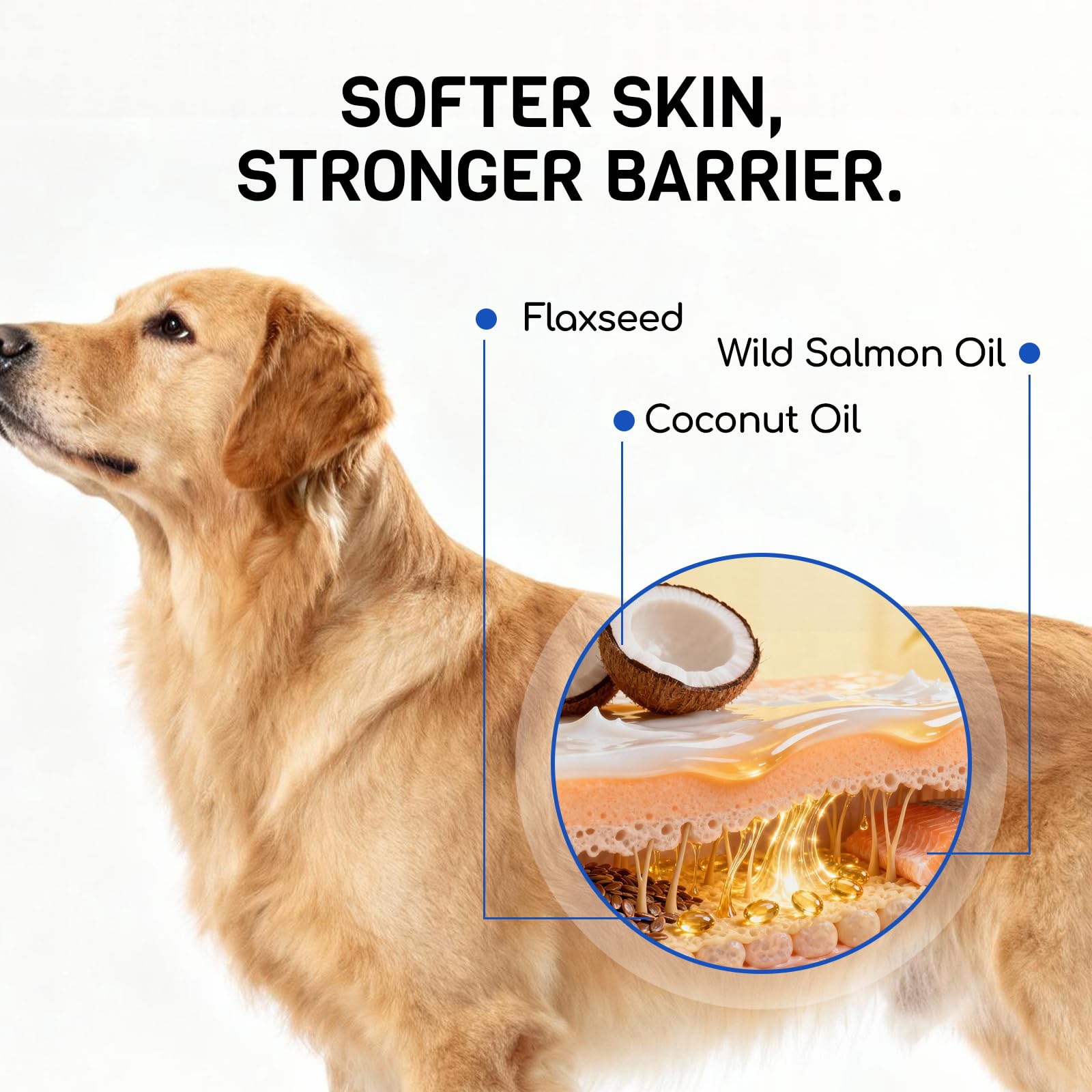 FURRY ARMOR probiotics bottle demonstrates gut-friendly balancing effects.