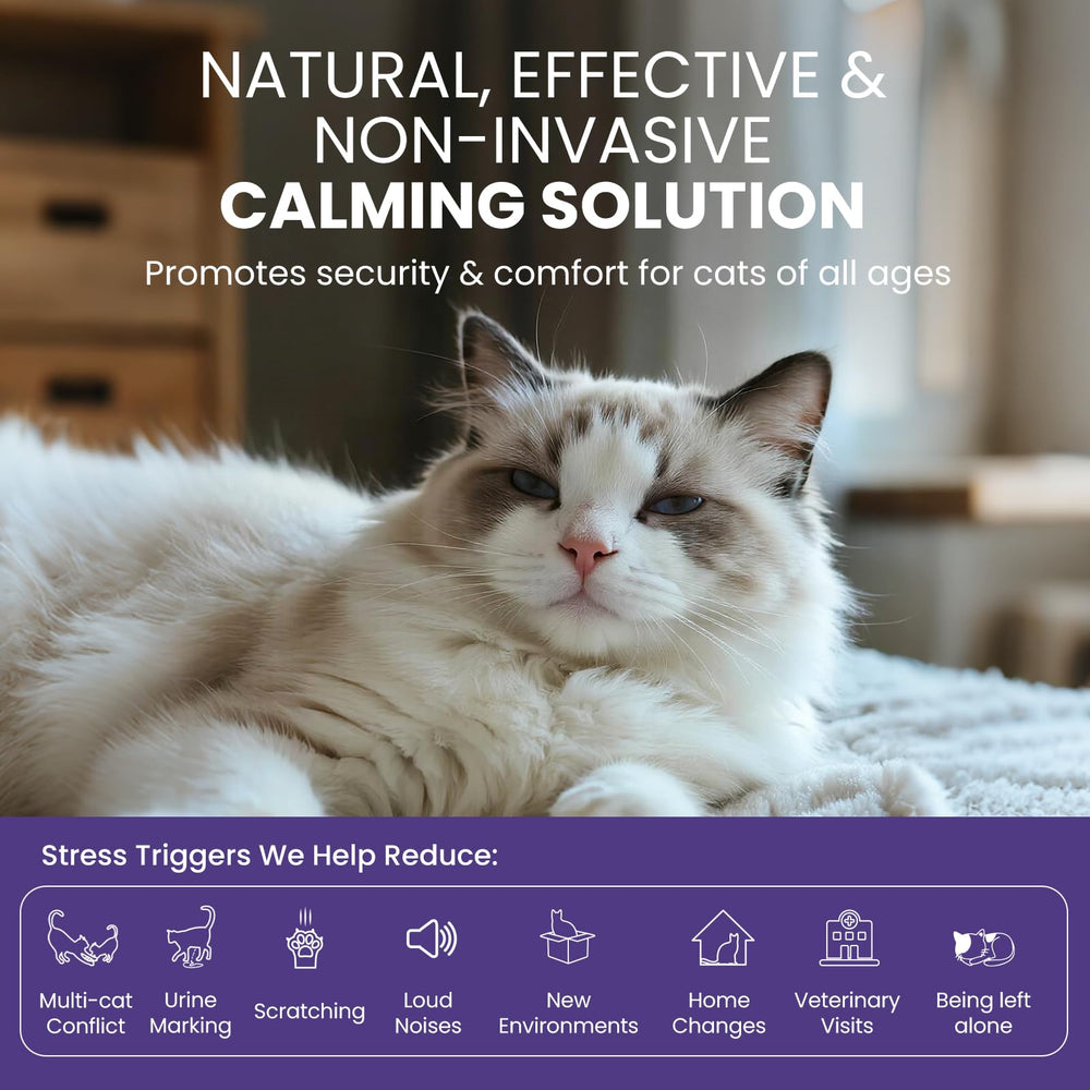 FURRY ARMOR 6-pack refills offer ongoing pheromone coverage.