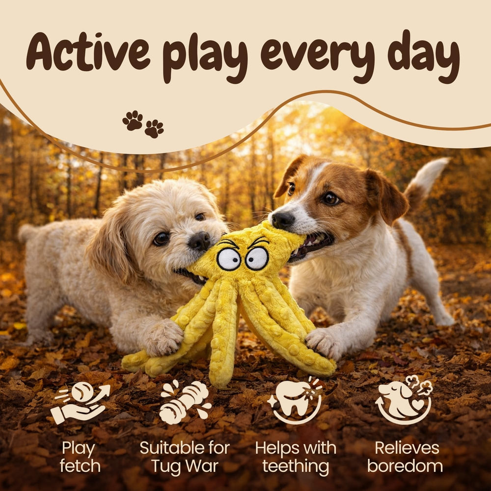 Furry Friends Haven 2-pack offers double the fun for energetic pups.