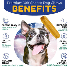 Close-up texture of Furryall Yak Cheese Himalayan dog chews showing durability
