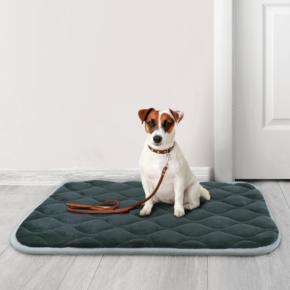 furrybaby anti-slip bottom dog mat prevents shifting on floors