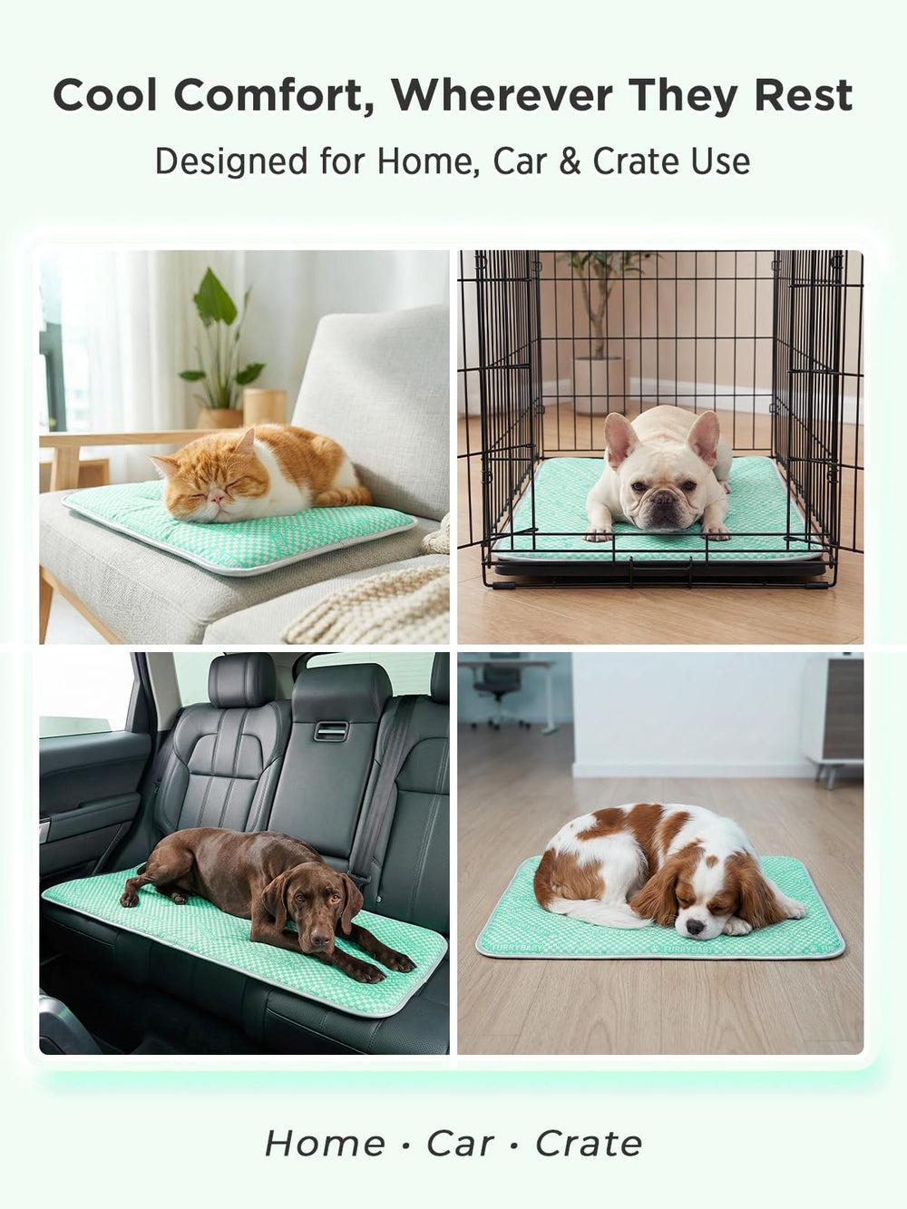 Furrybaby crate bed setup demonstrates versatile indoor use for pets