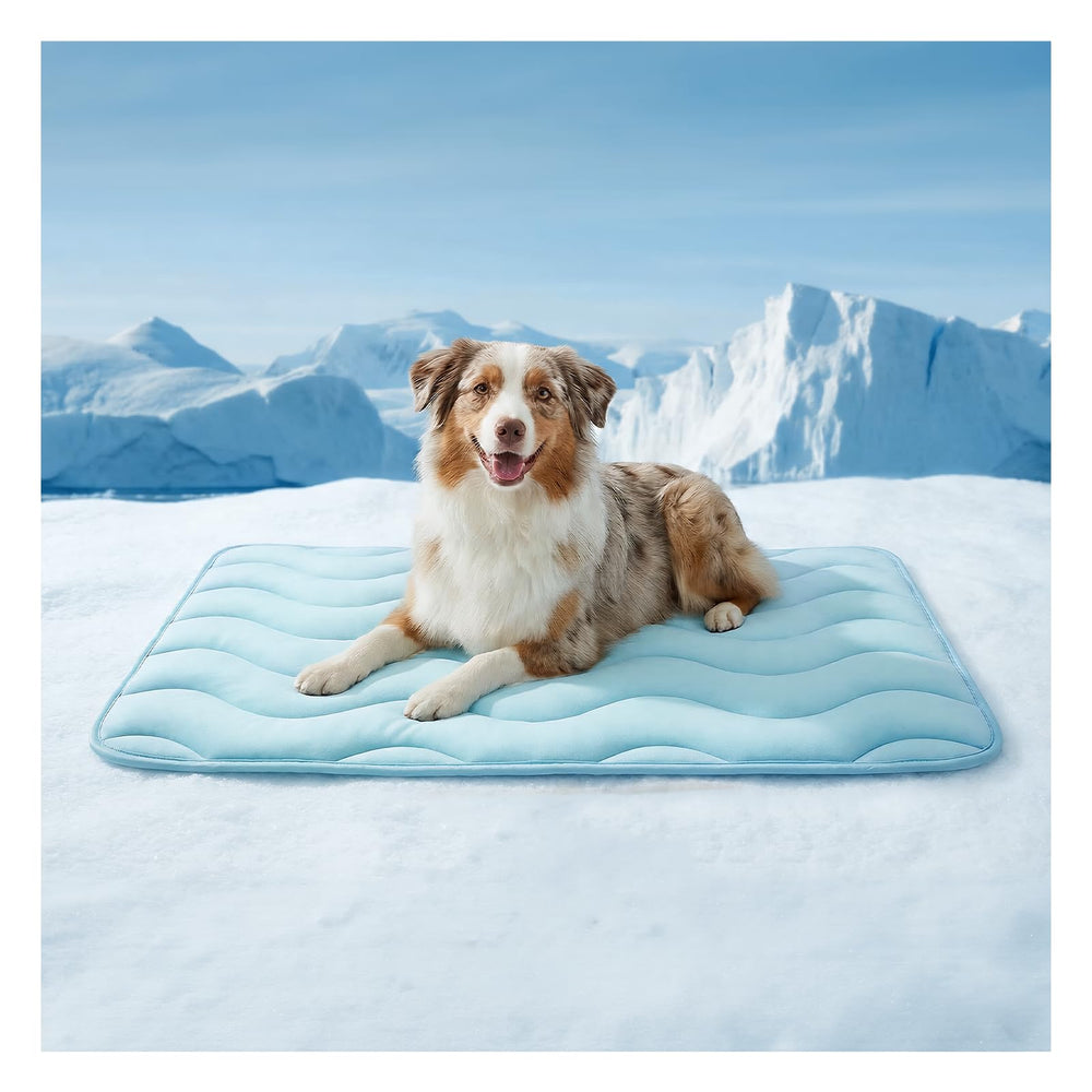 FurryBaby large 42x28 blue cooling mat showing generous resting area for big pets
