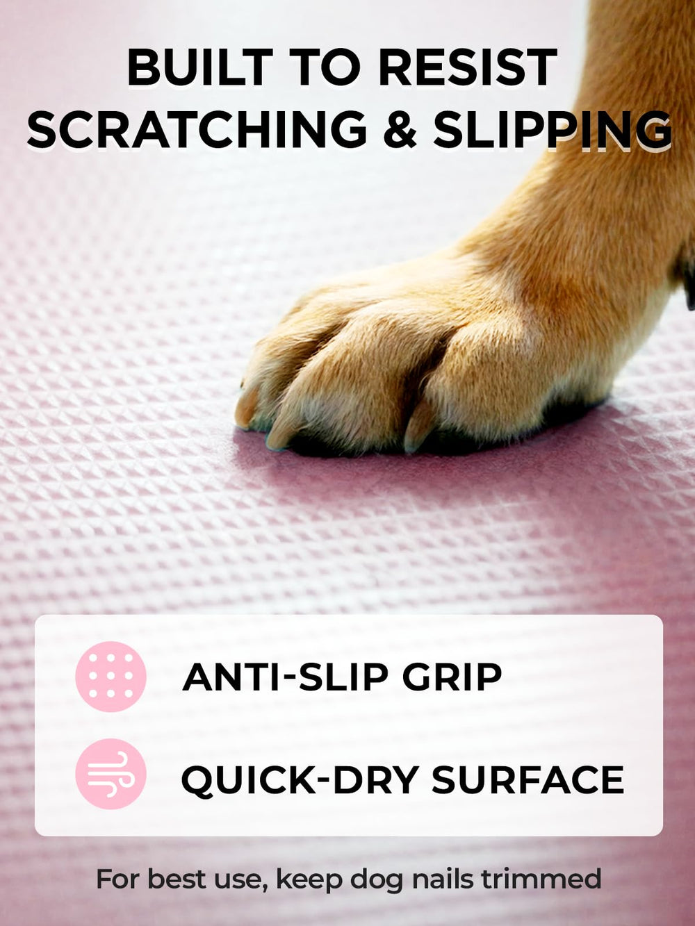 Furrybaby 63-inch pool bottom with non-slip texture to reduce slips