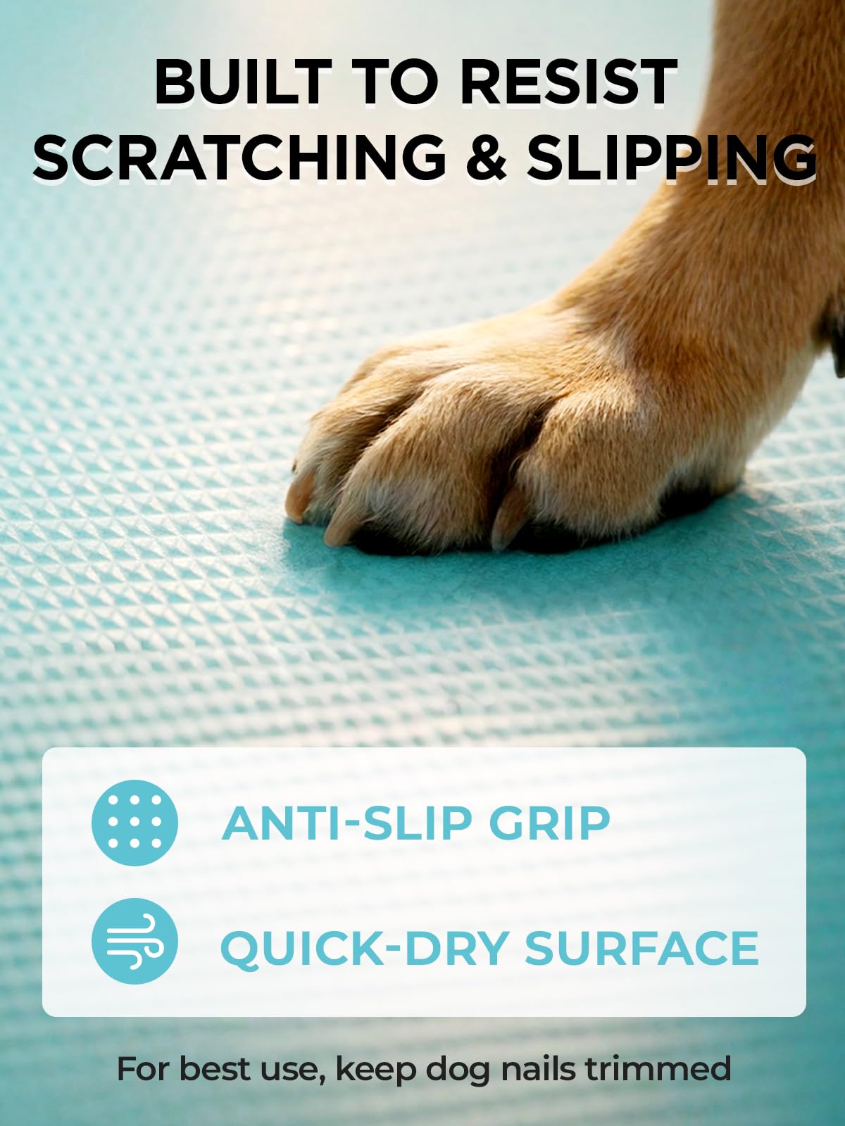 Furrybaby pool with non-slip bottom keeps pets safe during splashes