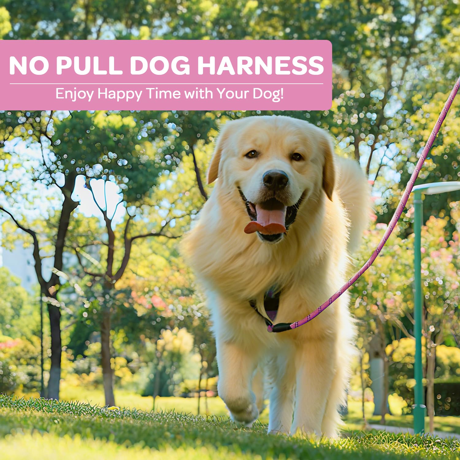 FURRYFECTION harness includes leash, car seat belt clip, and storage strap for safety.
