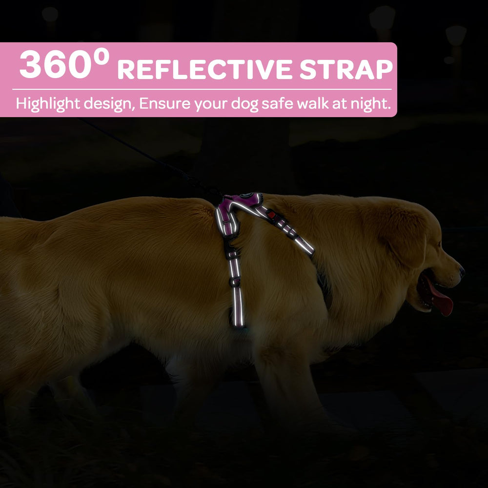 FURRYFECTION soft padding and breathable mesh enhance comfort on longer adventures.