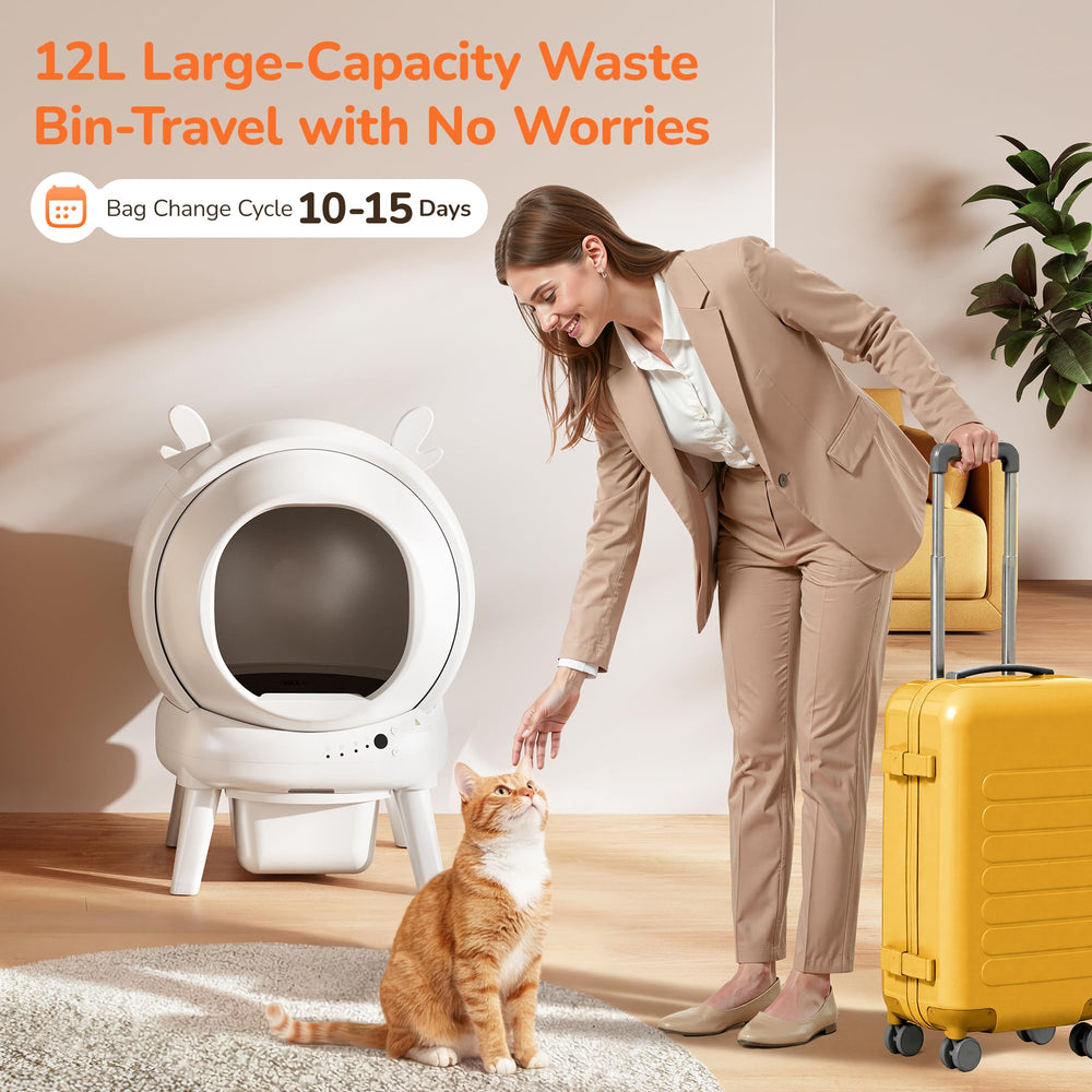 Furrykiddy multi-cat capacity supports households with several felines