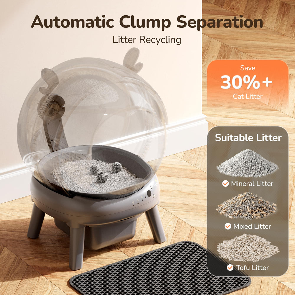 Furrykiddy suits multi-cat homes with convenient setup.