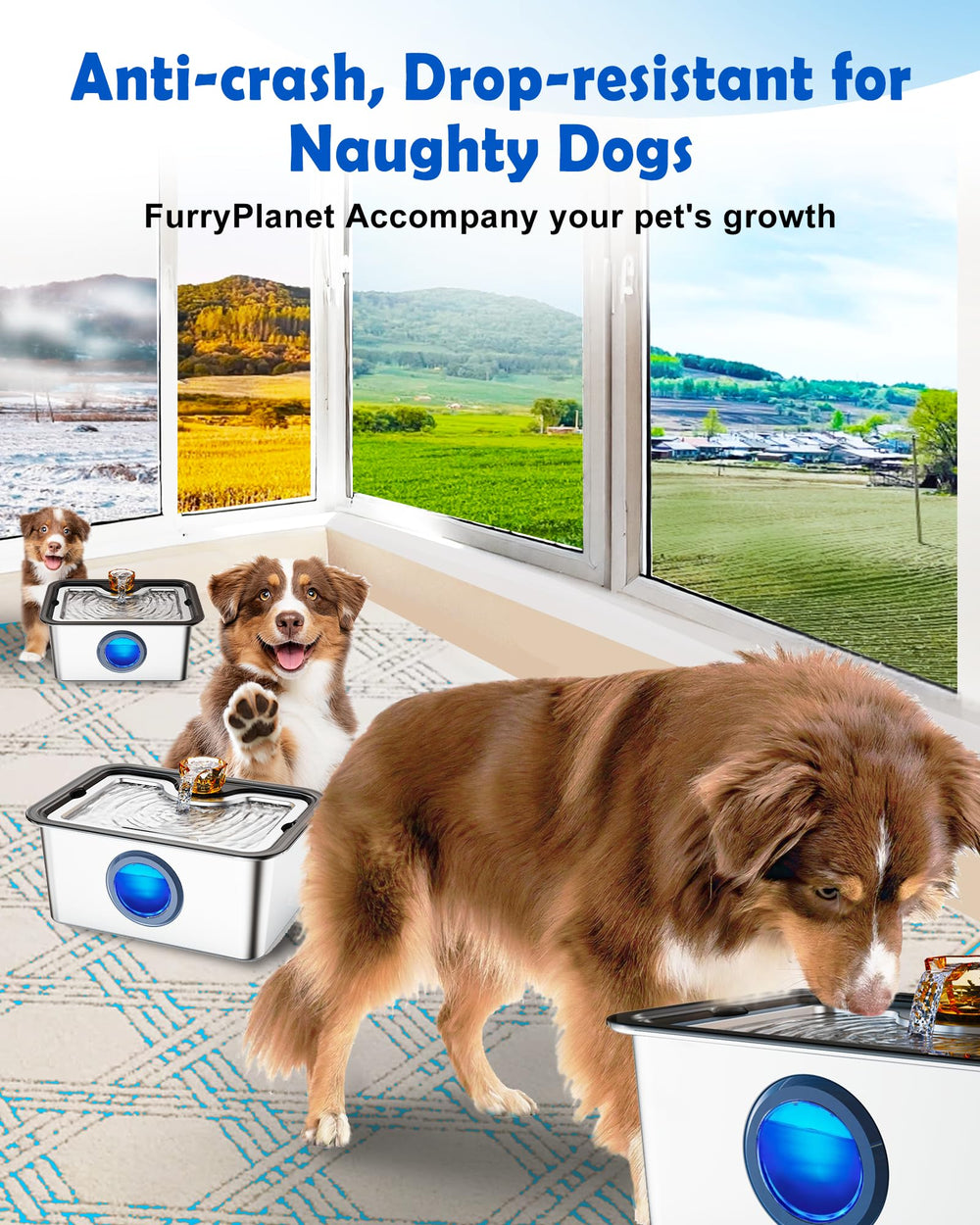 FurryPlanet dishwasher-safe upper bowl for quick post-meal cleaning.