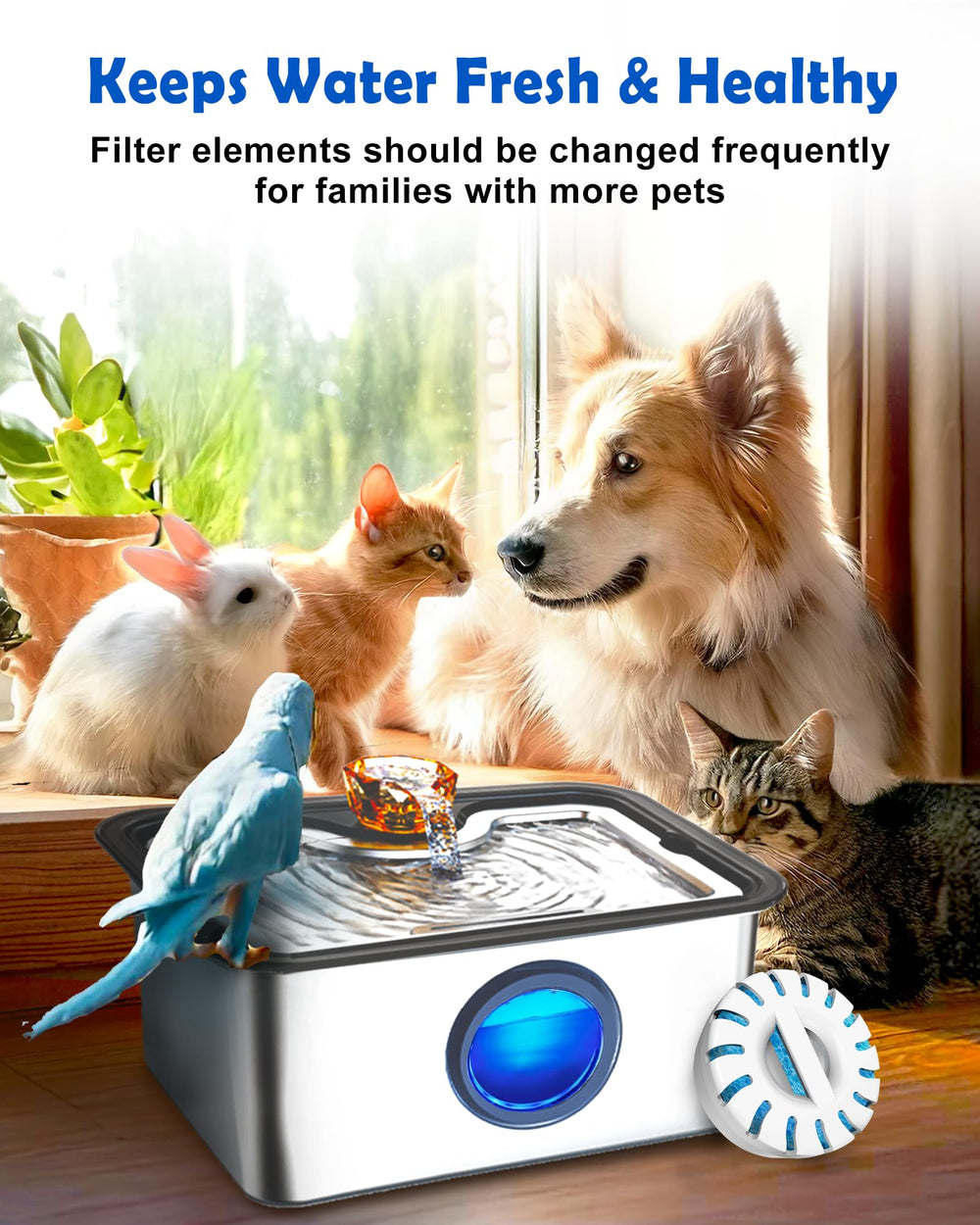 FurryPlanet Pump filter pads maintenance keeps pump performance steady.