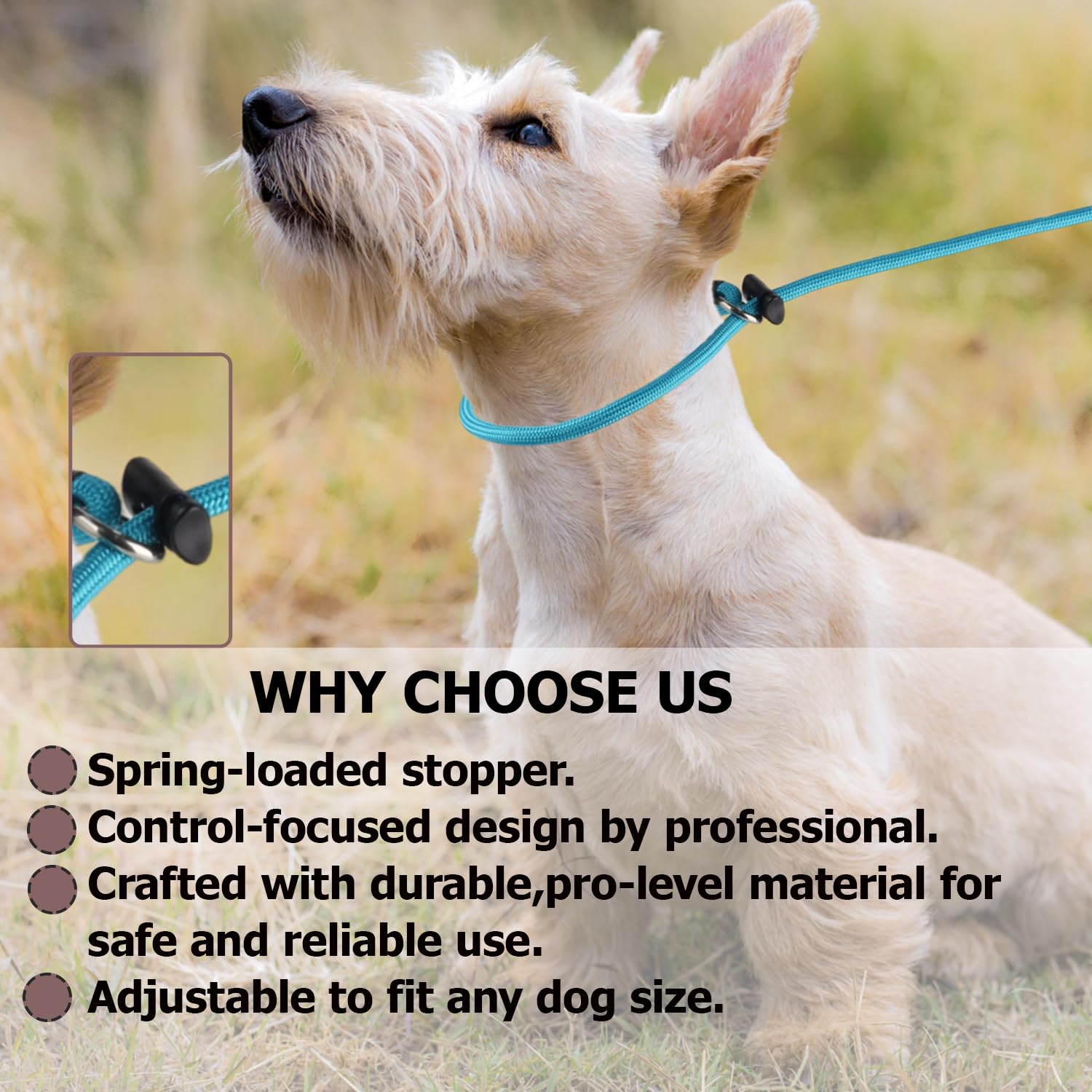 FURSDOLY color options help match your dog's look and personality.