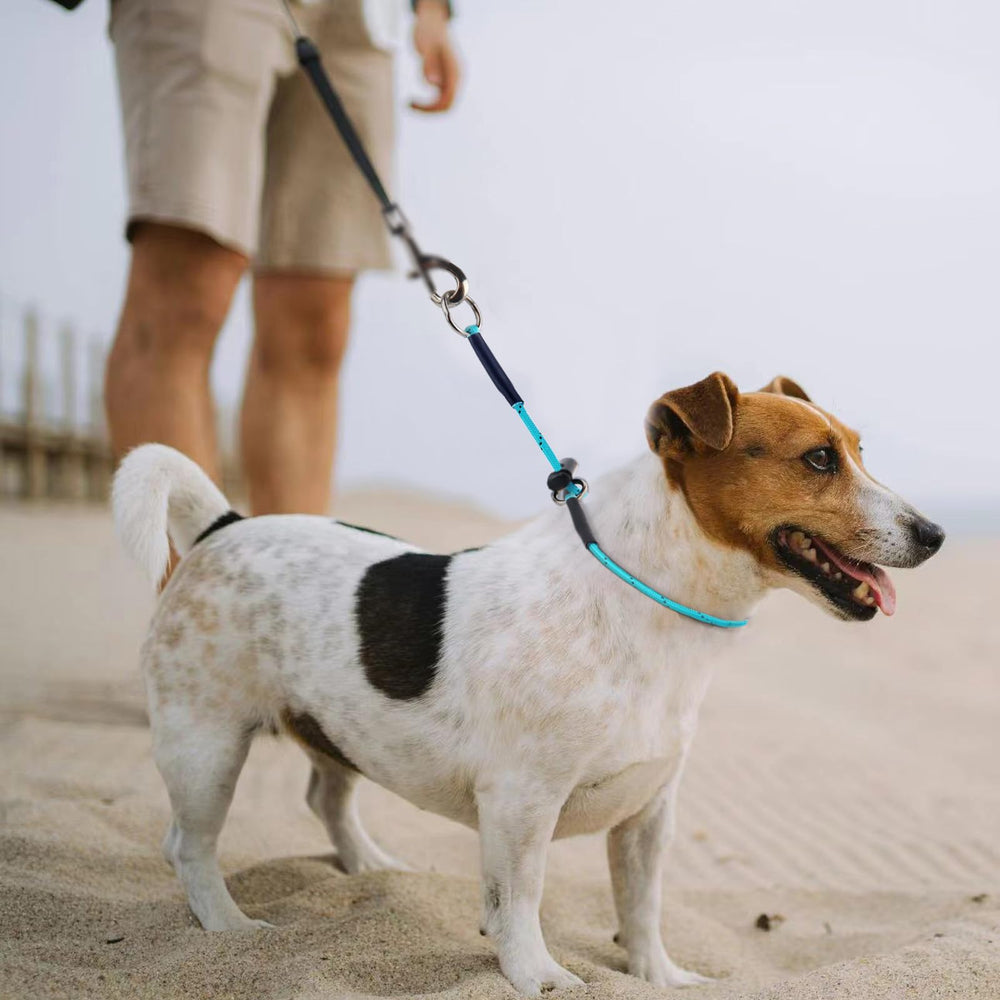 FURSDOLY reflective rope during low-light visibility highlights safer evening strolls.