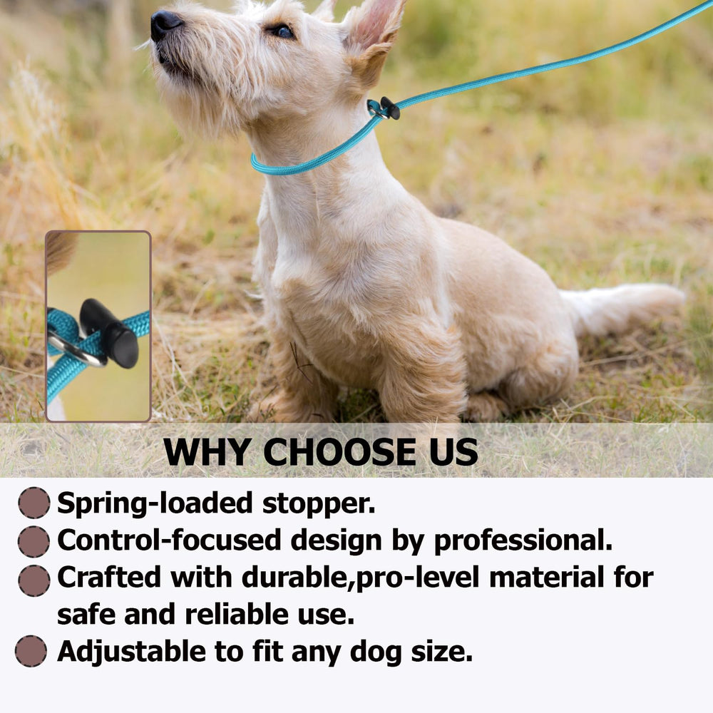 FURSDOLY Slip Lead available in 4ft, 5ft, and 6ft lengths.