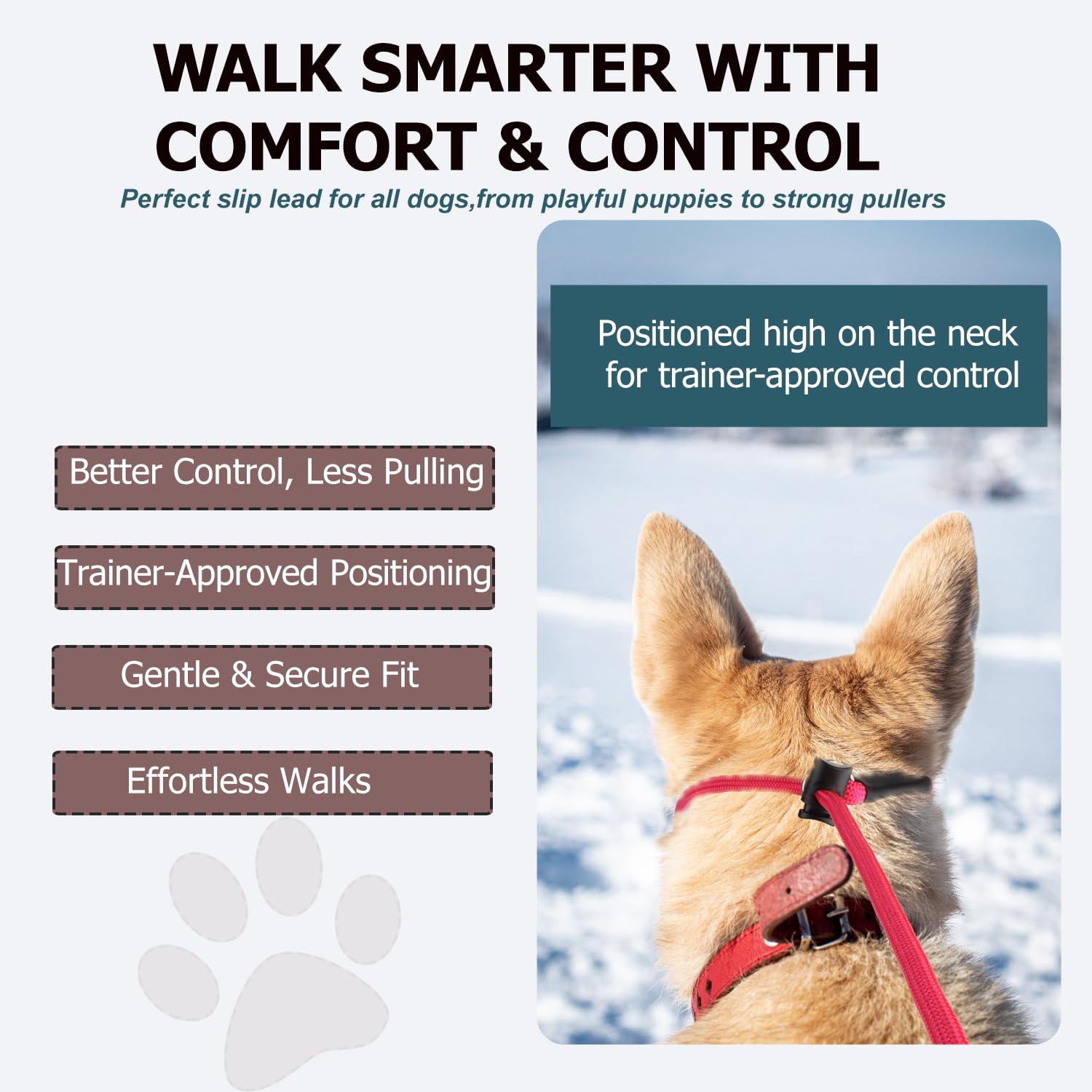 FURSDOLY Slip Lead no-collar training design for simple over-the-head use.