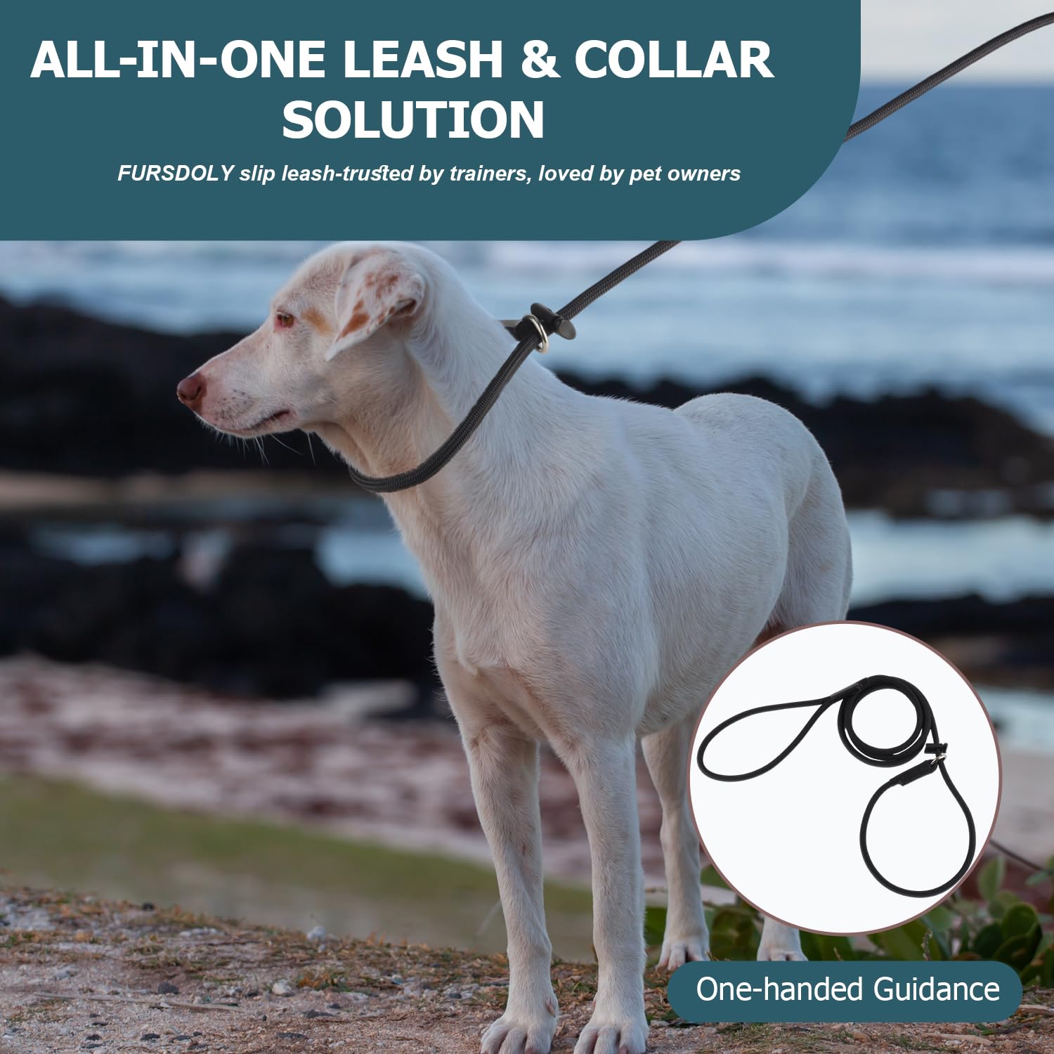 FURSDOLY Slip Lead training tool ideal for rescue dogs and puppies during sessions.