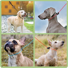 FURSDOLY spring-loaded stopper image showcases a customizable, snug collar fit during walks.