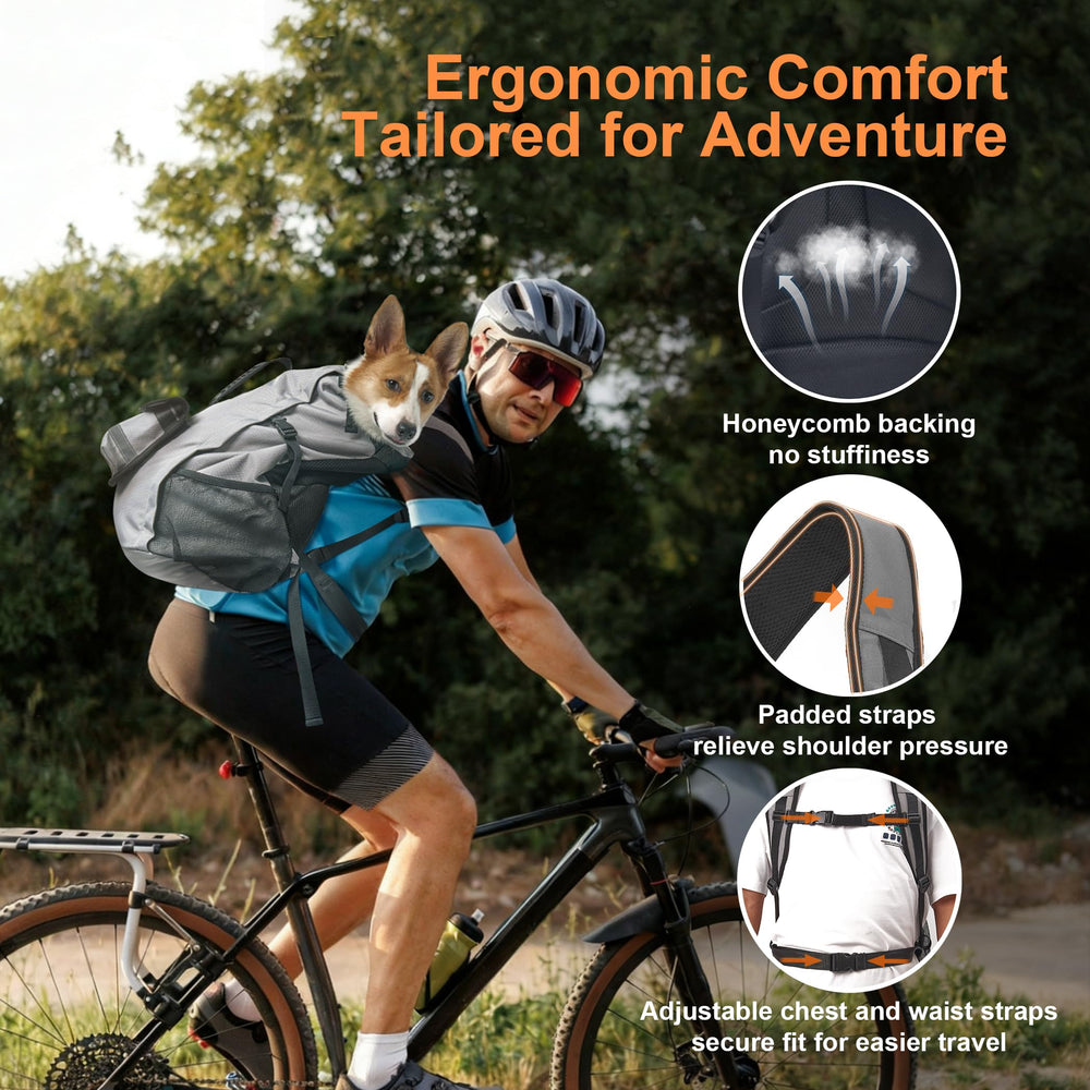 Furtent dog backpack carrier open-top view lets dogs look out safely.