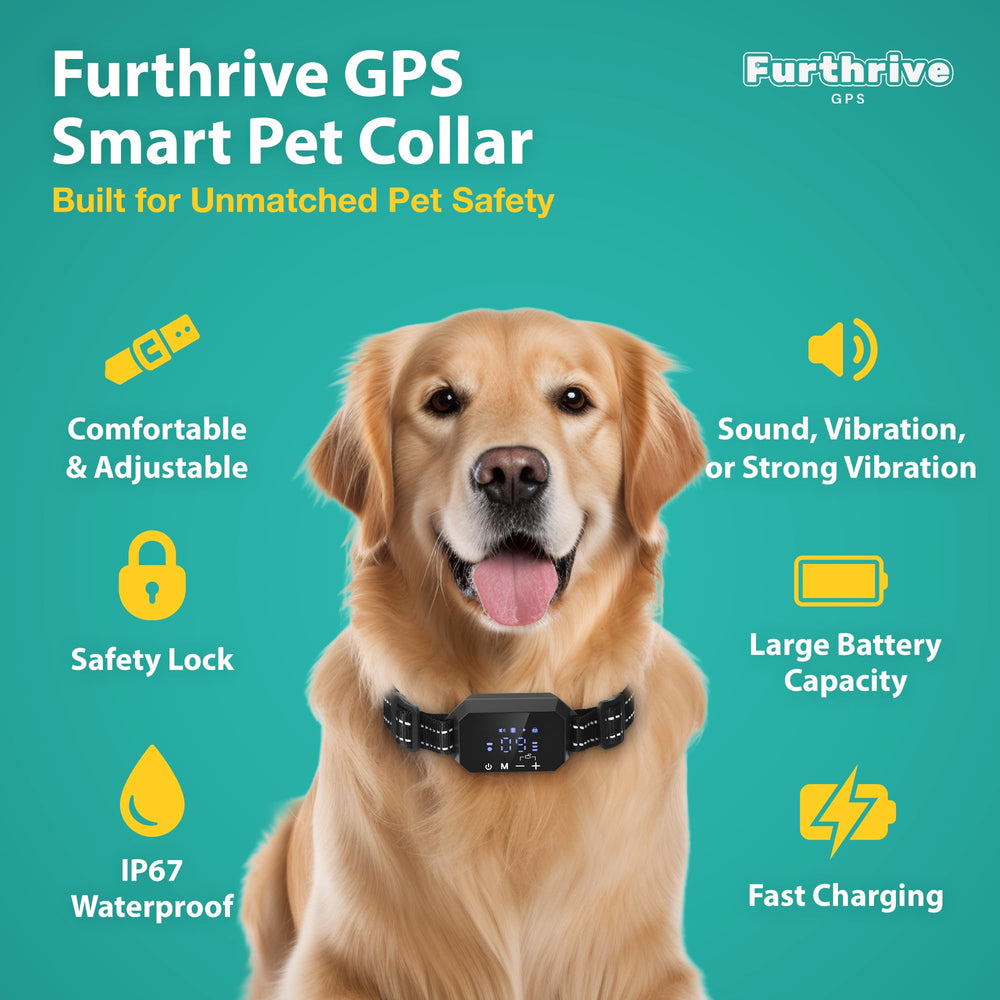 Furth Thrive GPS Fence IP67 waterproof collar withstands rain and mud during outdoor adventures.