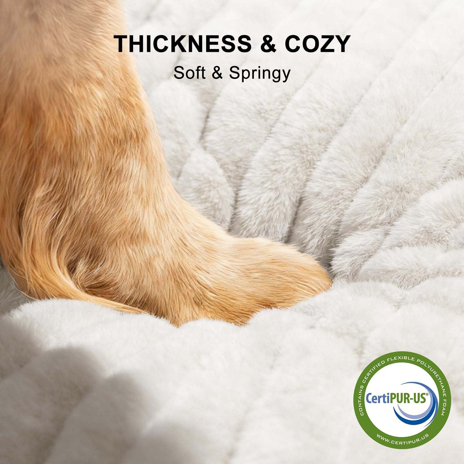 FURTIME dog bed anti-slip bottom for stable placement.