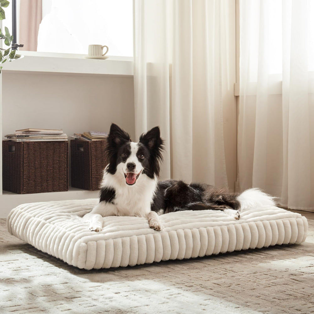 FURTIME dog bed medium washable cover being laundered.