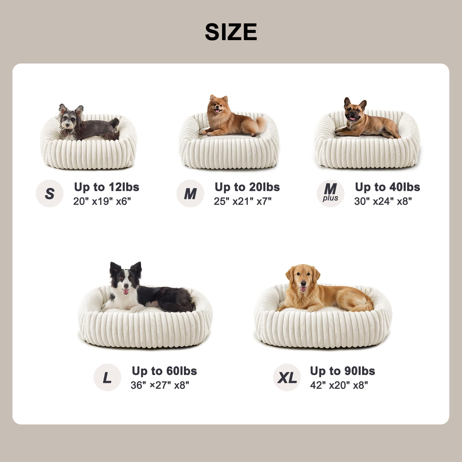FURTIME compact small bed in cream, 20x19 inches outer.