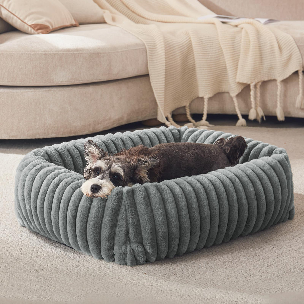 FURTIME small dog bed side view illustrates a cozy support for restful naps.