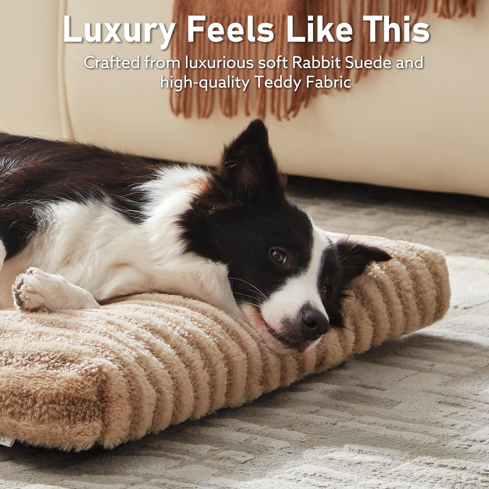 Anti-slip bottom keeps the bed securely in place.