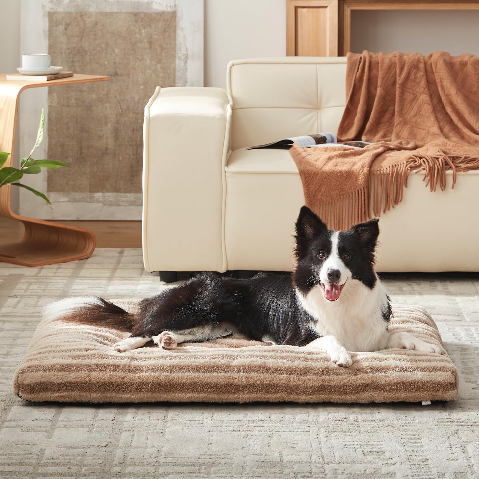 Ideal kennel, crate, or cozy home nap spot.