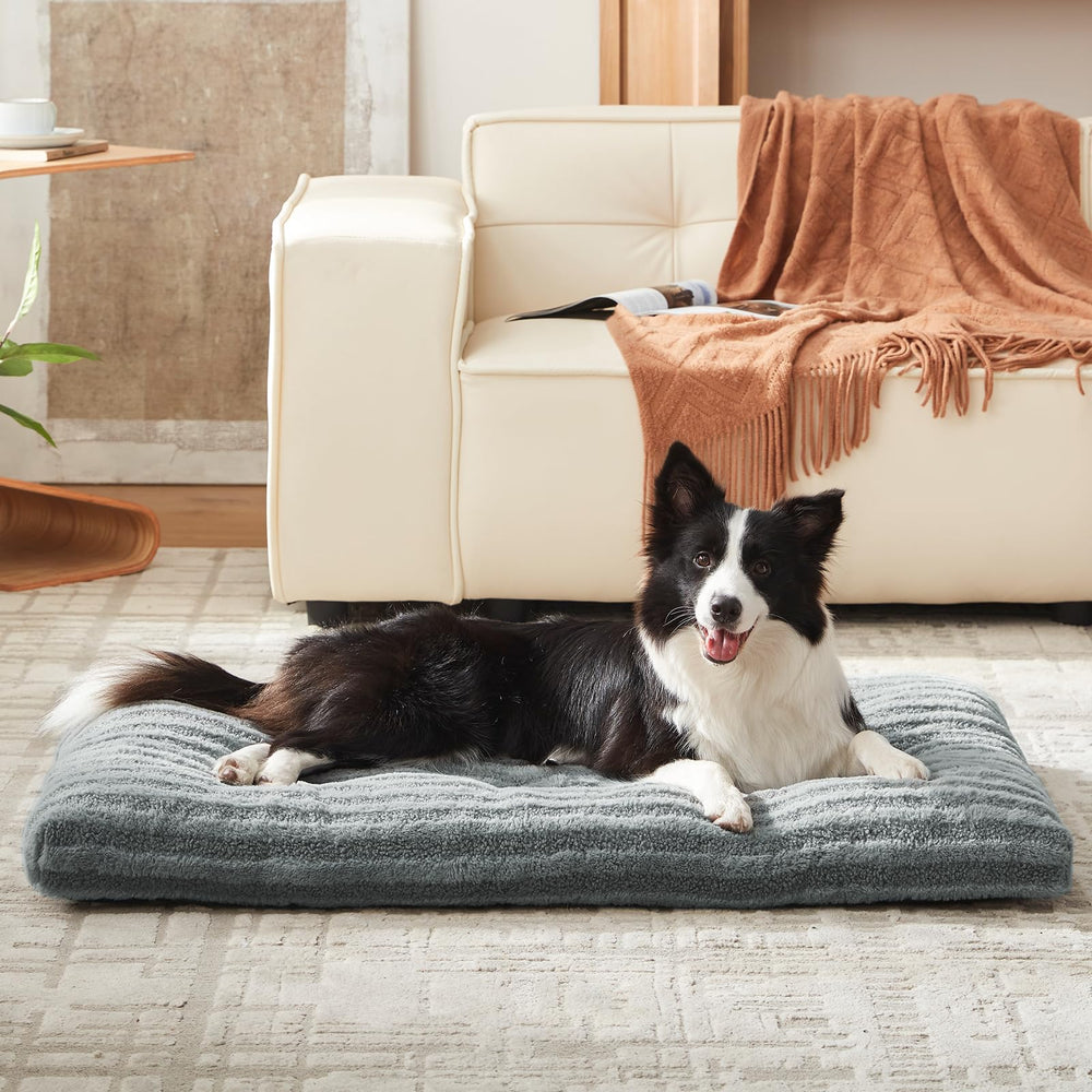 FURTIME dog resting calmly on soft bed during nap time