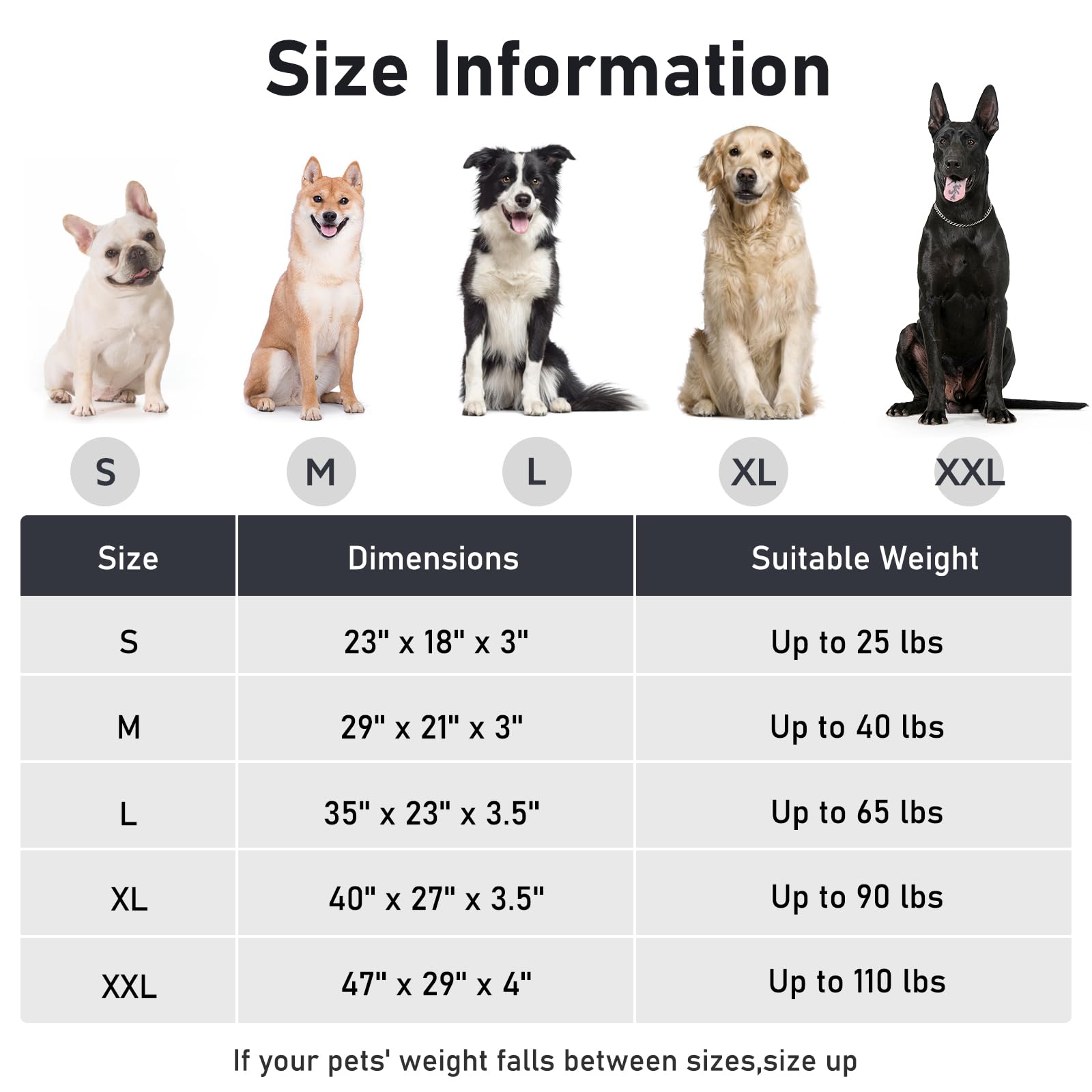 Five-size range helps fit most large breeds