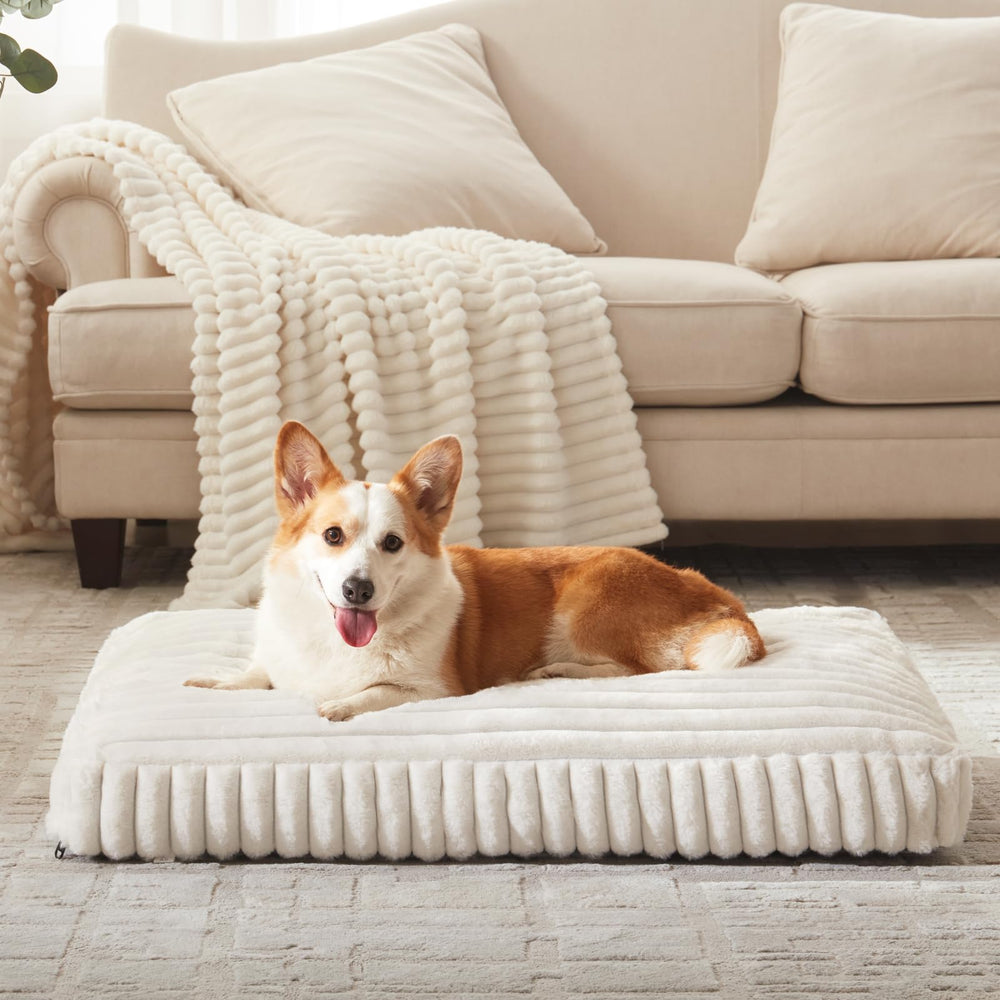 FURTIME XL dog bed indoors-outdoors-use demonstrates year-round versatility.