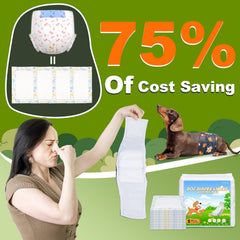 FurVeluxia belly band liner provides overnight protection and dry comfort.