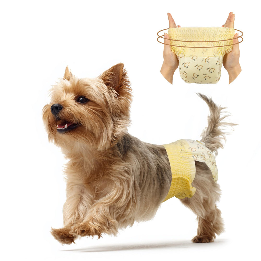 FurVeluxia dog diaper with 360° waist for secure fit during active play