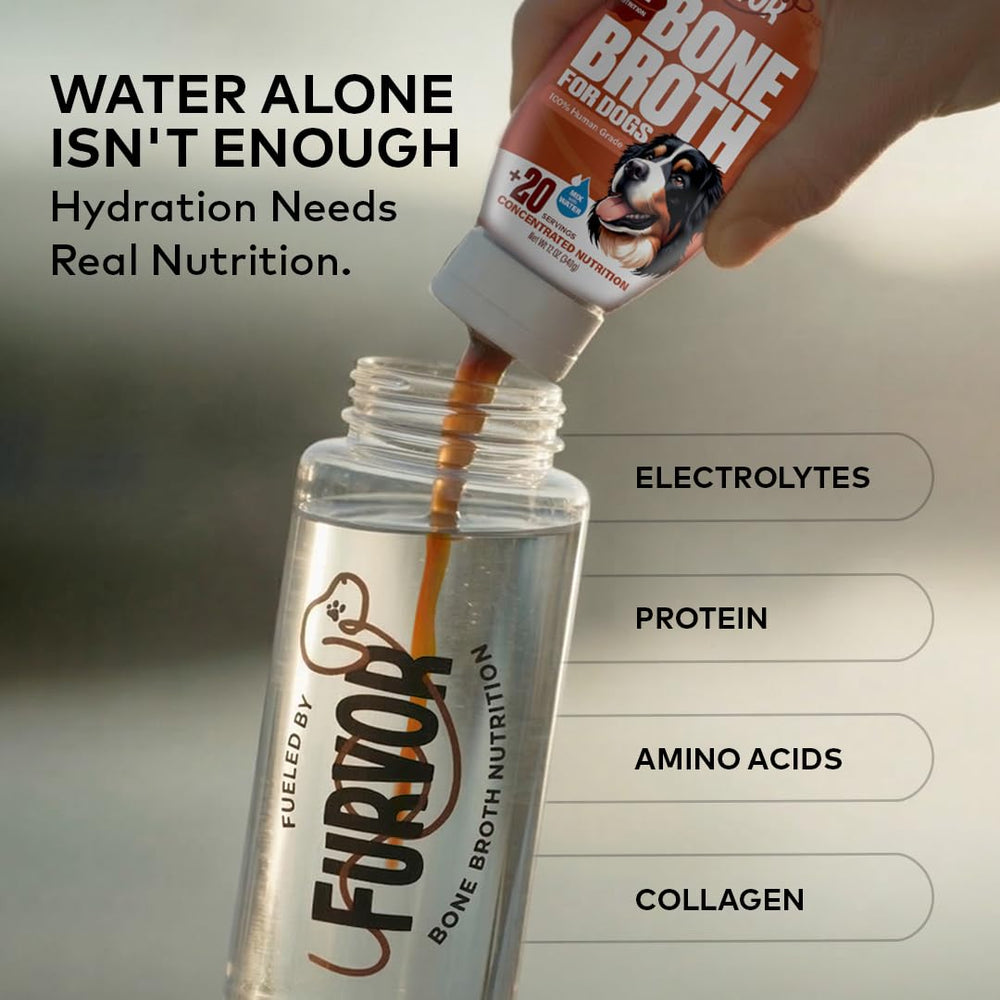 Furvor Beef Bone Broth bottle close-up highlights premium, human-grade ingredients.