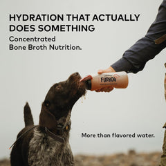Furvor Beef Bone Broth for Dogs served in a bowl to enhance mealtime.