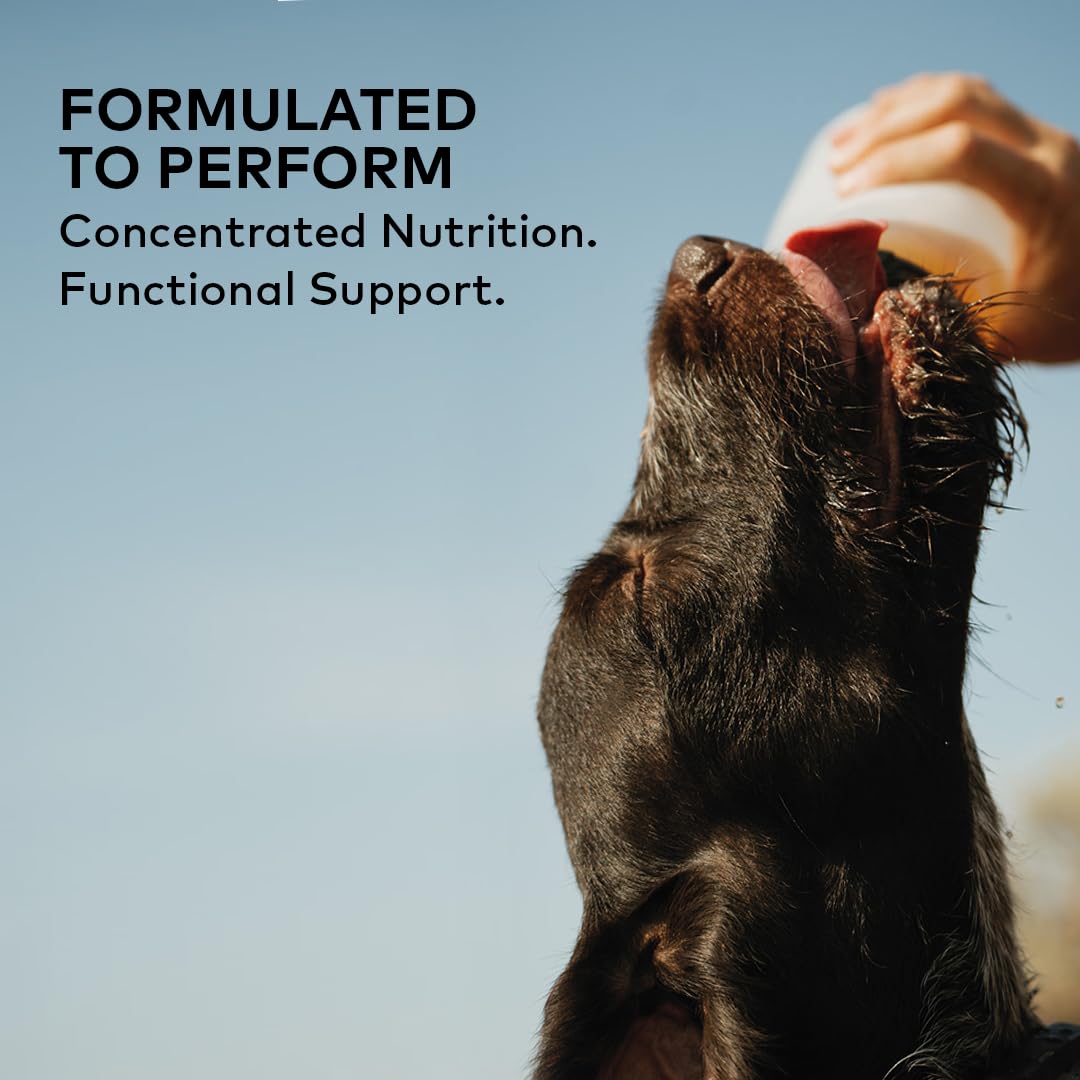 Furvor Beef Bone Broth for Dogs in a bowl adds savory aroma to meals.