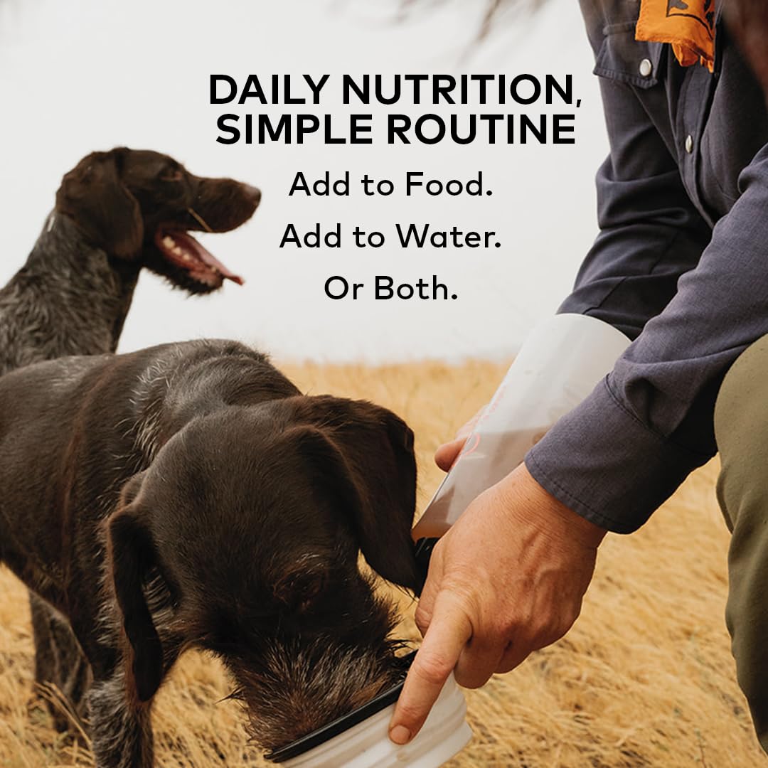 Furvor Beef Bone Broth over kibble creates a tasty, moisture-rich dish.