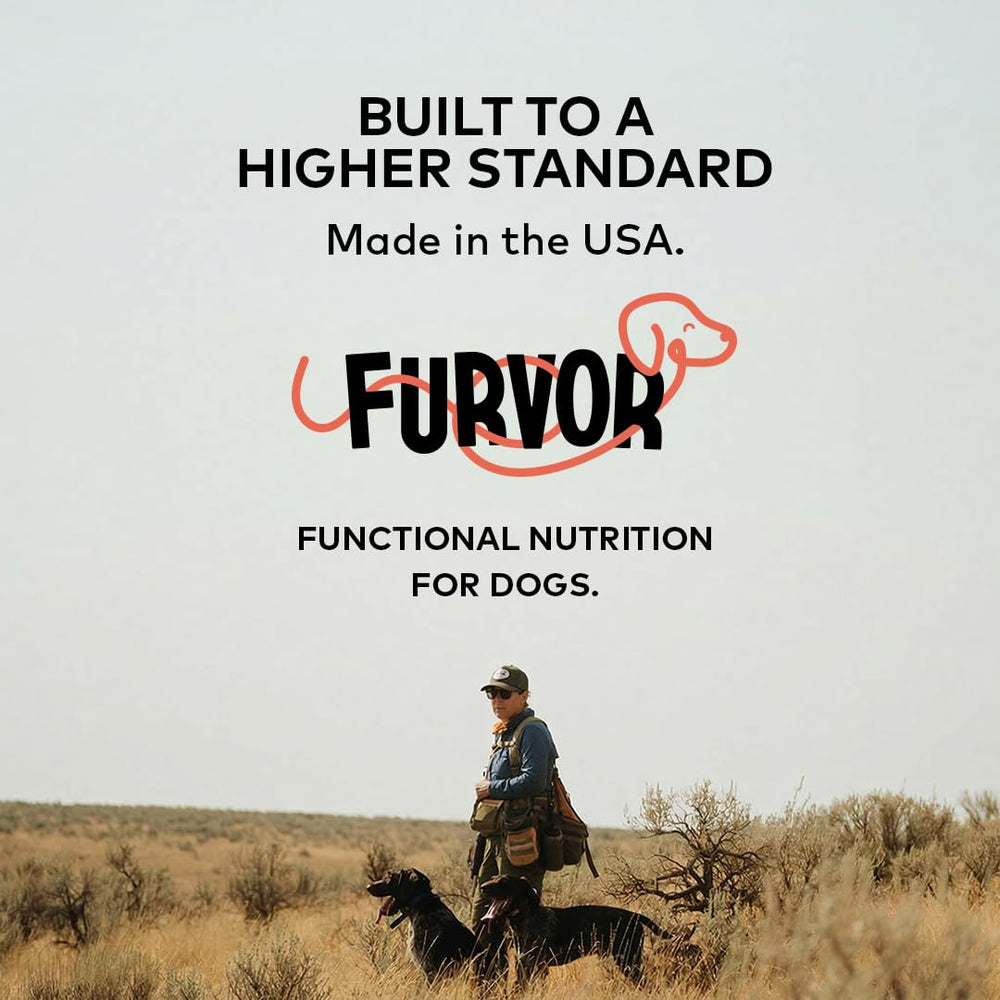 Furvor Beef Bone Broth dish close-up showcases natural, human-grade quality.