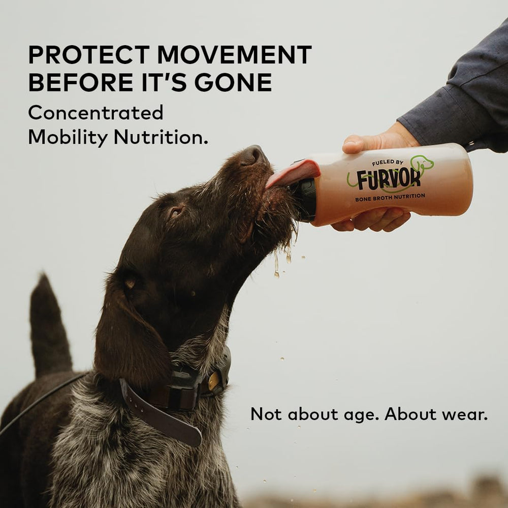 Furvor Mobility Bone Broth used as kibble topping with savory flavor.