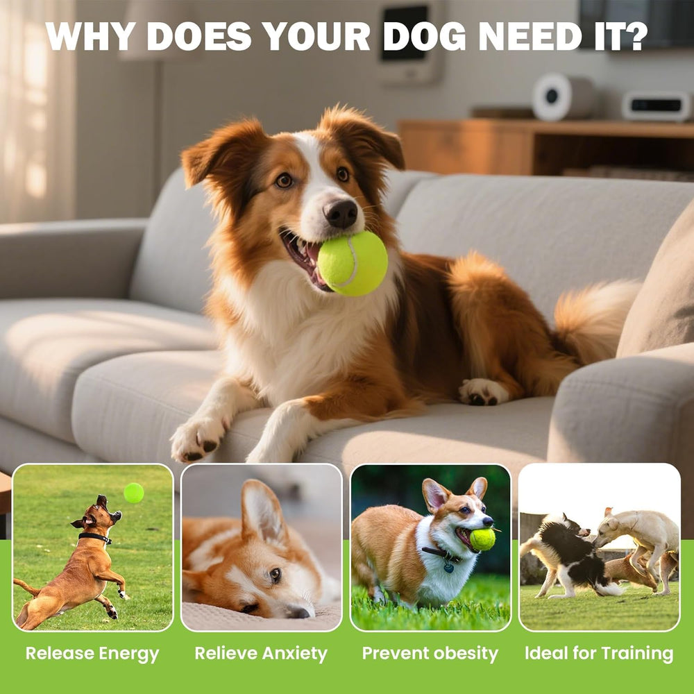 All-surface FURWEY play balls for indoor and outdoor use.