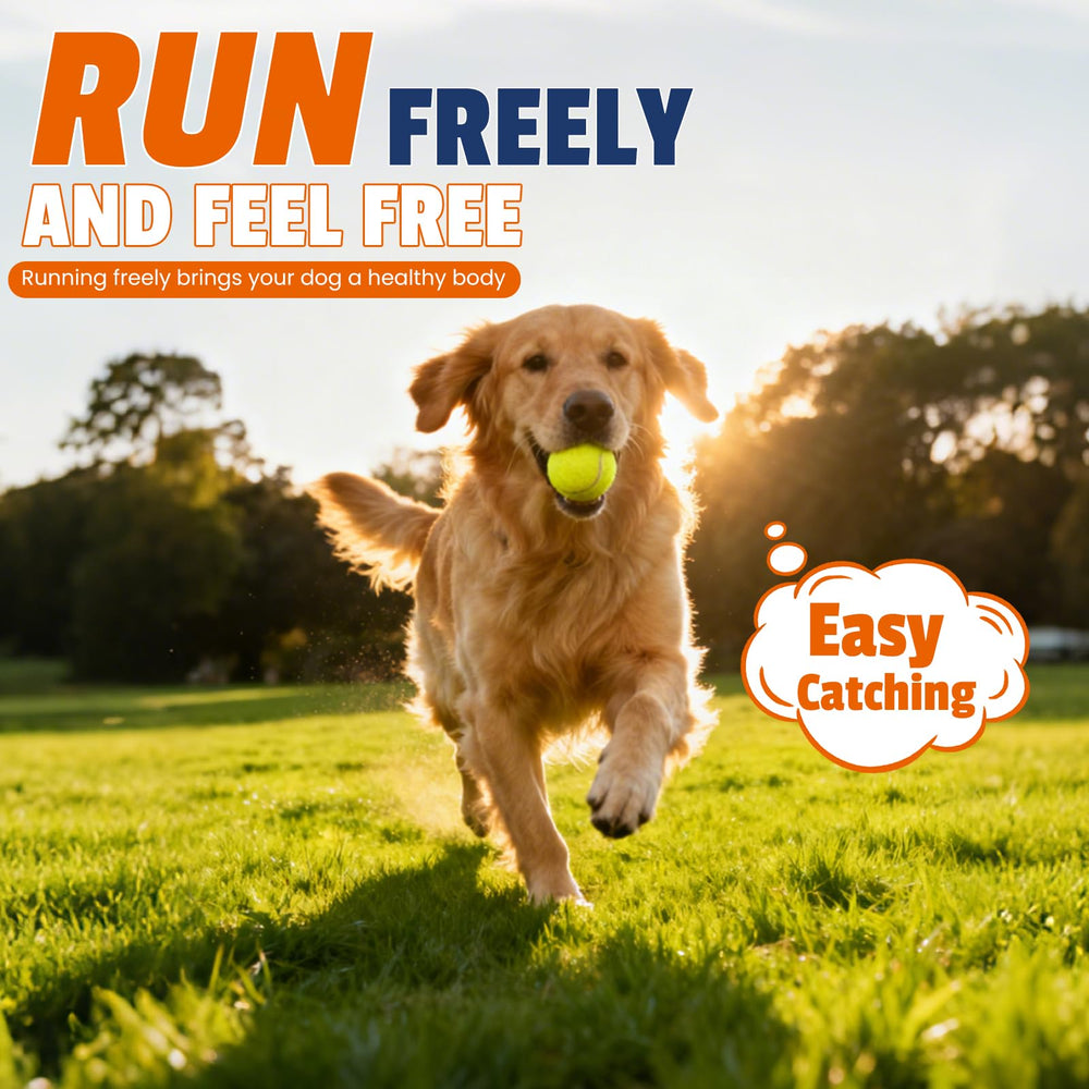 Bright yellow balls help locate them on grass and in parks.