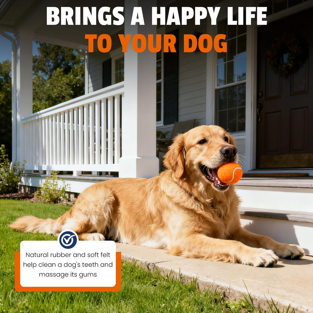 FURWEY 2.5-inch ball compatible with dog launchers for consistent throws