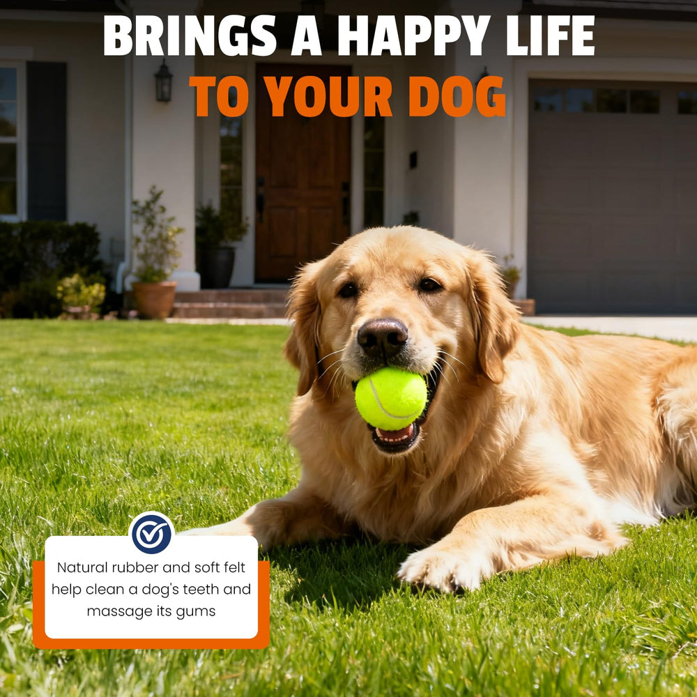 Rebound up to 120 cm for engaging fetch and catching practice.