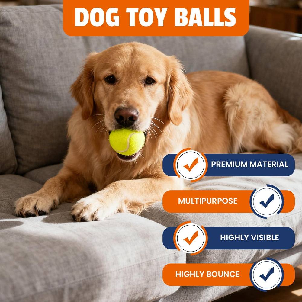 Teeth-friendly FURWEY balls suitable for daily play with dogs.